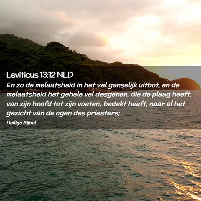 Picture 02 - Leviticus 13:12 NLD - En zo de melaatsheid in het vel ganselijk uitbot, - Bible Verse Picture