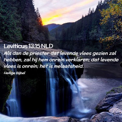 Picture 02 - Leviticus 13:15 NLD - Als dan de priester dat levende vlees gezien zal - Bible Verse Picture
