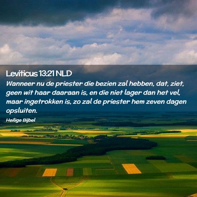 Picture 02 - Leviticus 13:21 NLD - Wanneer nu de priester die bezien zal hebben, - Bible Verse Picture
