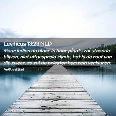 Picture 02 - Leviticus 13:23 NLD - Maar indien de blaar in haar plaats zal staande - Bible Verse Picture