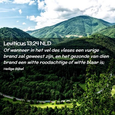 Picture 02 - Leviticus 13:24 NLD - Of wanneer in het vel des vleses een vurige brand - Bible Verse Picture