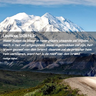 Picture 02 - Leviticus 13:28 NLD - Maar indien de blaar in haar plaats staande zal - Bible Verse Picture