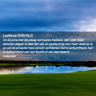 Picture 02 - Leviticus 13:30 NLD - En de priester de plaag zal bezien hebben, dat, - Bible Verse Picture