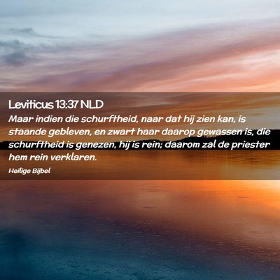 Picture 02 - Leviticus 13:37 NLD - Maar indien die schurftheid, naar dat hij zien - Bible Verse Picture