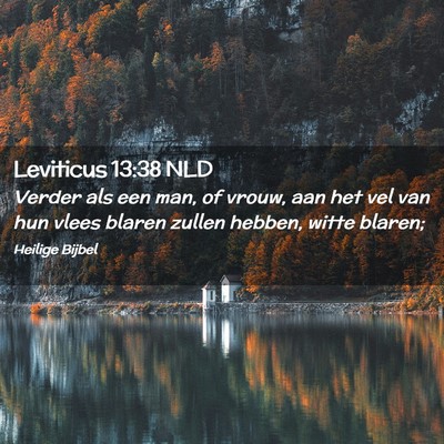 Picture 02 - Leviticus 13:38 NLD - Verder als een man, of vrouw, aan het vel van hun - Bible Verse Picture