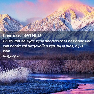 Picture 02 - Leviticus 13:41 NLD - En zo van de zijde zijns aangezichts het haar van - Bible Verse Picture