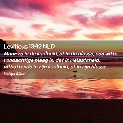 Picture 02 - Leviticus 13:42 NLD - Maar zo in de kaalheid, of in de blesse, een - Bible Verse Picture