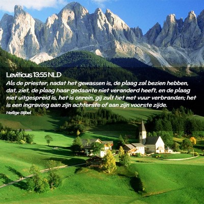 Picture 02 - Leviticus 13:55 NLD - Als de priester, nadat het gewassen is, de plaag - Bible Verse Picture