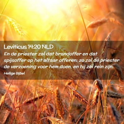 Picture 02 - Leviticus 14:20 NLD - En de priester zal dat brandoffer en dat - Bible Verse Picture