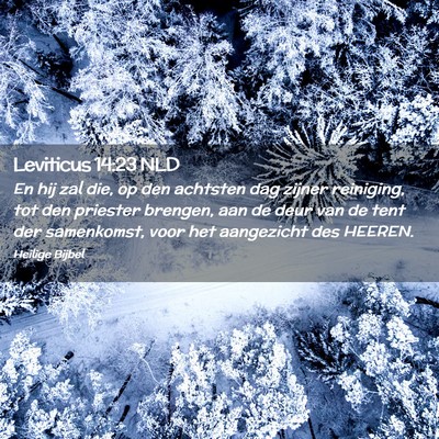 Picture 02 - Leviticus 14:23 NLD - En hij zal die, op den achtsten dag zijner - Bible Verse Picture