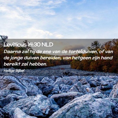 Picture 02 - Leviticus 14:30 NLD - Daarna zal hij de ene van de tortelduiven, of van - Bible Verse Picture