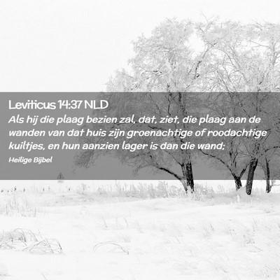 Picture 02 - Leviticus 14:37 NLD - Als hij die plaag bezien zal, dat, ziet, die - Bible Verse Picture