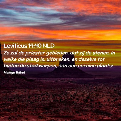 Picture 02 - Leviticus 14:40 NLD - Zo zal de priester gebieden, dat zij de stenen, - Bible Verse Picture