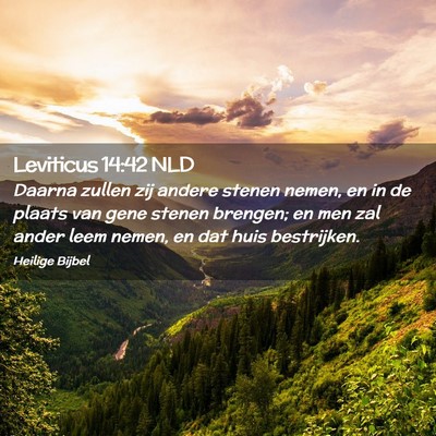 Picture 02 - Leviticus 14:42 NLD - Daarna zullen zij andere stenen nemen, en in de - Bible Verse Picture