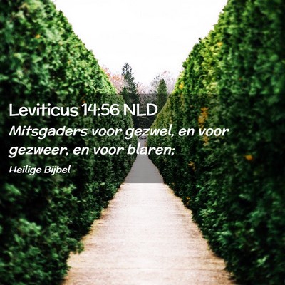 Picture 02 - Leviticus 14:56 NLD - Mitsgaders voor gezwel, en voor gezweer, en voor - Bible Verse Picture