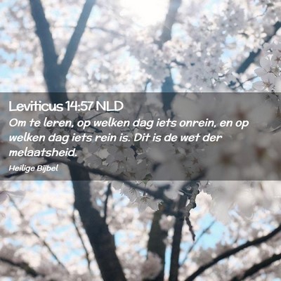 Picture 02 - Leviticus 14:57 NLD - Om te leren, op welken dag iets onrein, en op - Bible Verse Picture