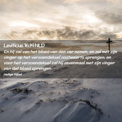 Picture 02 - Leviticus 16:14 NLD - En hij zal van het bloed van den var nemen, en - Bible Verse Picture