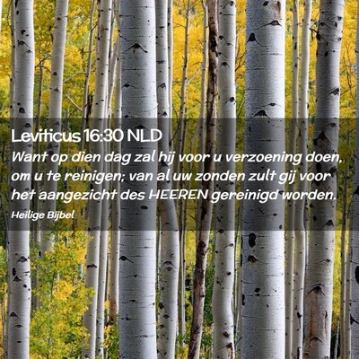 Picture 02 - Leviticus 16:30 NLD - Want op dien dag zal hij voor u verzoening doen, - Bible Verse Picture