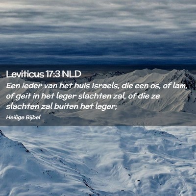 Picture 02 - Leviticus 17:3 NLD - Een ieder van het huis Israels, die een os, of - Bible Verse Picture