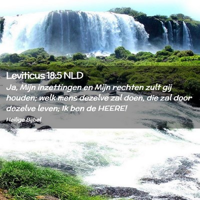 Picture 02 - Leviticus 18:5 NLD - Ja, Mijn inzettingen en Mijn rechten zult gij - Bible Verse Picture