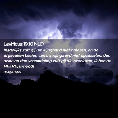 Picture 02 - Leviticus 19:10 NLD - Insgelijks zult gij uw wijngaard niet nalezen, en - Bible Verse Picture