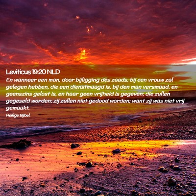 Picture 02 - Leviticus 19:20 NLD - En wanneer een man, door bijligging des zaads, - Bible Verse Picture