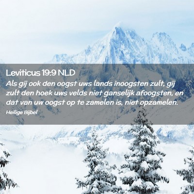 Picture 02 - Leviticus 19:9 NLD - Als gij ook den oogst uws lands inoogsten zult, - Bible Verse Picture