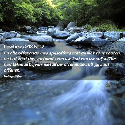Picture 02 - Leviticus 2:13 NLD - En alle offerande uws spijsoffers zult gij met - Bible Verse Picture