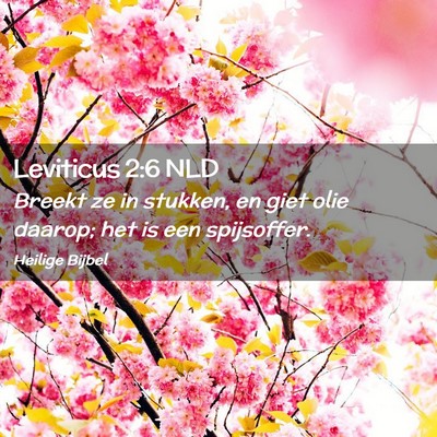 Picture 02 - Leviticus 2:6 NLD - Breekt ze in stukken, en giet olie daarop; het is - Bible Verse Picture