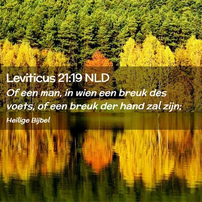 Picture 02 - Leviticus 21:19 NLD - Of een man, in wien een breuk des voets, of een - Bible Verse Picture