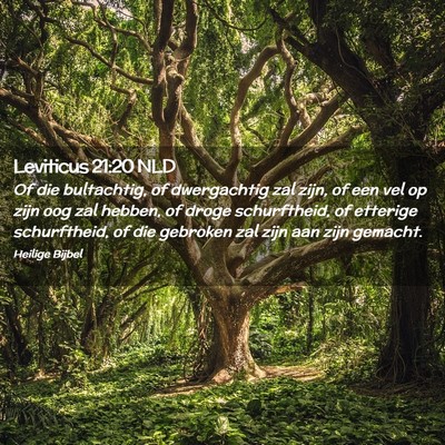 Picture 02 - Leviticus 21:20 NLD - Of die bultachtig, of dwergachtig zal zijn, of - Bible Verse Picture