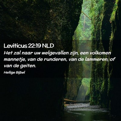 Picture 02 - Leviticus 22:19 NLD - Het zal naar uw welgevallen zijn, een volkomen - Bible Verse Picture