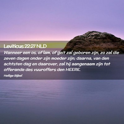 Picture 02 - Leviticus 22:27 NLD - Wanneer een os, of lam, of geit zal geboren zijn, - Bible Verse Picture