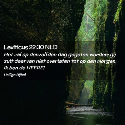 Picture 02 - Leviticus 22:30 NLD - Het zal op denzelfden dag gegeten worden; gij - Bible Verse Picture