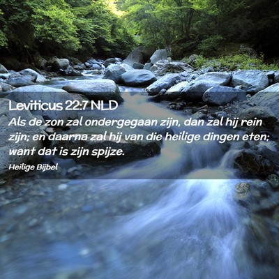 Picture 02 - Leviticus 22:7 NLD - Als de zon zal ondergegaan zijn, dan zal hij rein - Bible Verse Picture