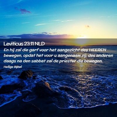 Picture 02 - Leviticus 23:11 NLD - En hij zal die garf voor het aangezicht des - Bible Verse Picture
