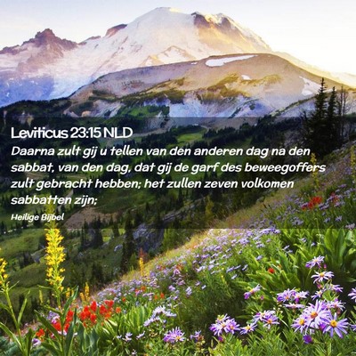 Picture 02 - Leviticus 23:15 NLD - Daarna zult gij u tellen van den anderen dag na - Bible Verse Picture
