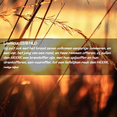 Picture 02 - Leviticus 23:18 NLD - Gij zult ook met het brood zeven volkomen - Bible Verse Picture