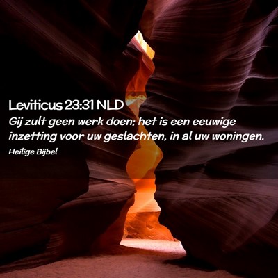 Picture 02 - Leviticus 23:31 NLD - Gij zult geen werk doen; het is een eeuwige - Bible Verse Picture