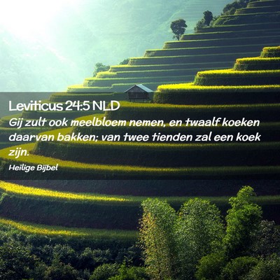 Picture 02 - Leviticus 24:5 NLD - Gij zult ook meelbloem nemen, en twaalf koeken - Bible Verse Picture