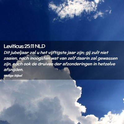 Picture 02 - Leviticus 25:11 NLD - Dit jubeljaar zal u het vijftigste jaar zijn; gij - Bible Verse Picture