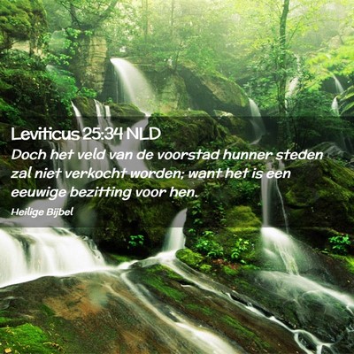 Picture 02 - Leviticus 25:34 NLD - Doch het veld van de voorstad hunner steden zal - Bible Verse Picture