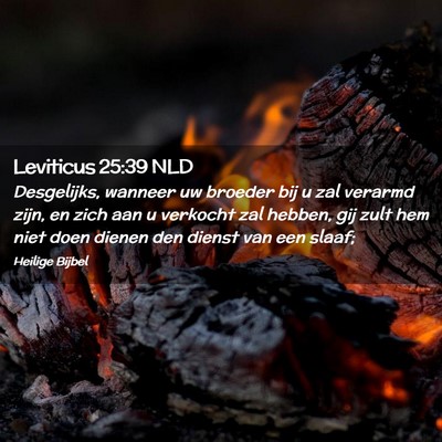 Picture 02 - Leviticus 25:39 NLD - Desgelijks, wanneer uw broeder bij u zal verarmd - Bible Verse Picture