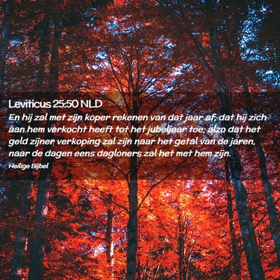 Picture 02 - Leviticus 25:50 NLD - En hij zal met zijn koper rekenen van dat jaar - Bible Verse Picture