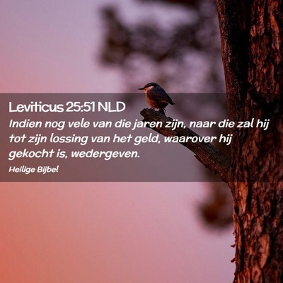 Picture 02 - Leviticus 25:51 NLD - Indien nog vele van die jaren zijn, naar die zal - Bible Verse Picture