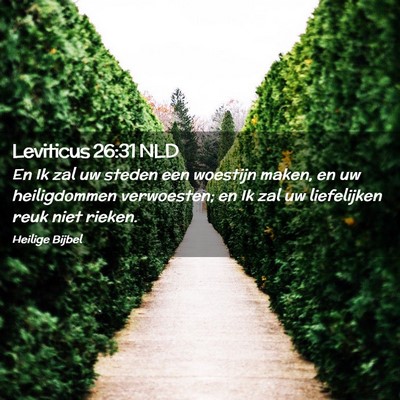 Picture 02 - Leviticus 26:31 NLD - En Ik zal uw steden een woestijn maken, en uw - Bible Verse Picture