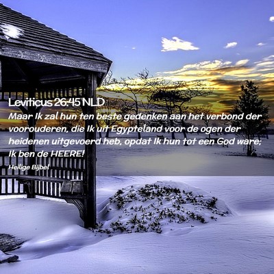 Picture 02 - Leviticus 26:45 NLD - Maar Ik zal hun ten beste gedenken aan het - Bible Verse Picture