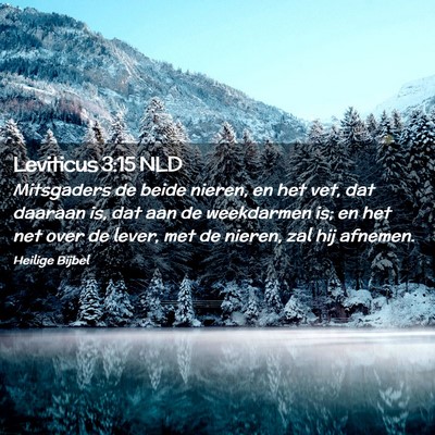Picture 02 - Leviticus 3:15 NLD - Mitsgaders de beide nieren, en het vet, dat - Bible Verse Picture