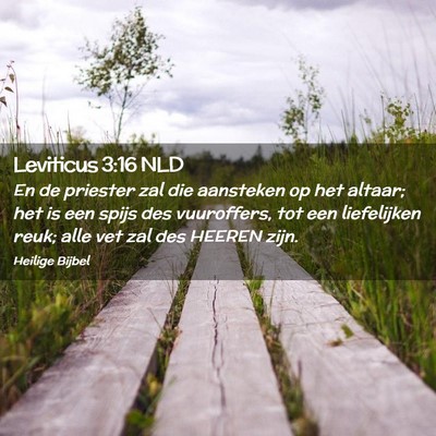 Picture 02 - Leviticus 3:16 NLD - En de priester zal die aansteken op het altaar; - Bible Verse Picture