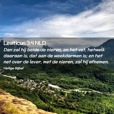 Picture 02 - Leviticus 3:4 NLD - Dan zal hij beide de nieren, en het vet, hetwelk - Bible Verse Picture